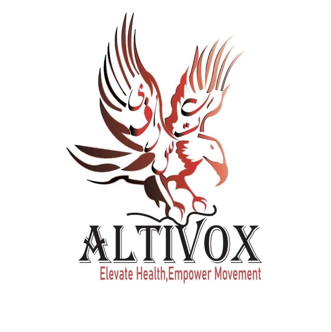 Dubai, Health, Altivox Health Store | Premium Medical & Physiotherapy Equipment In Dubai