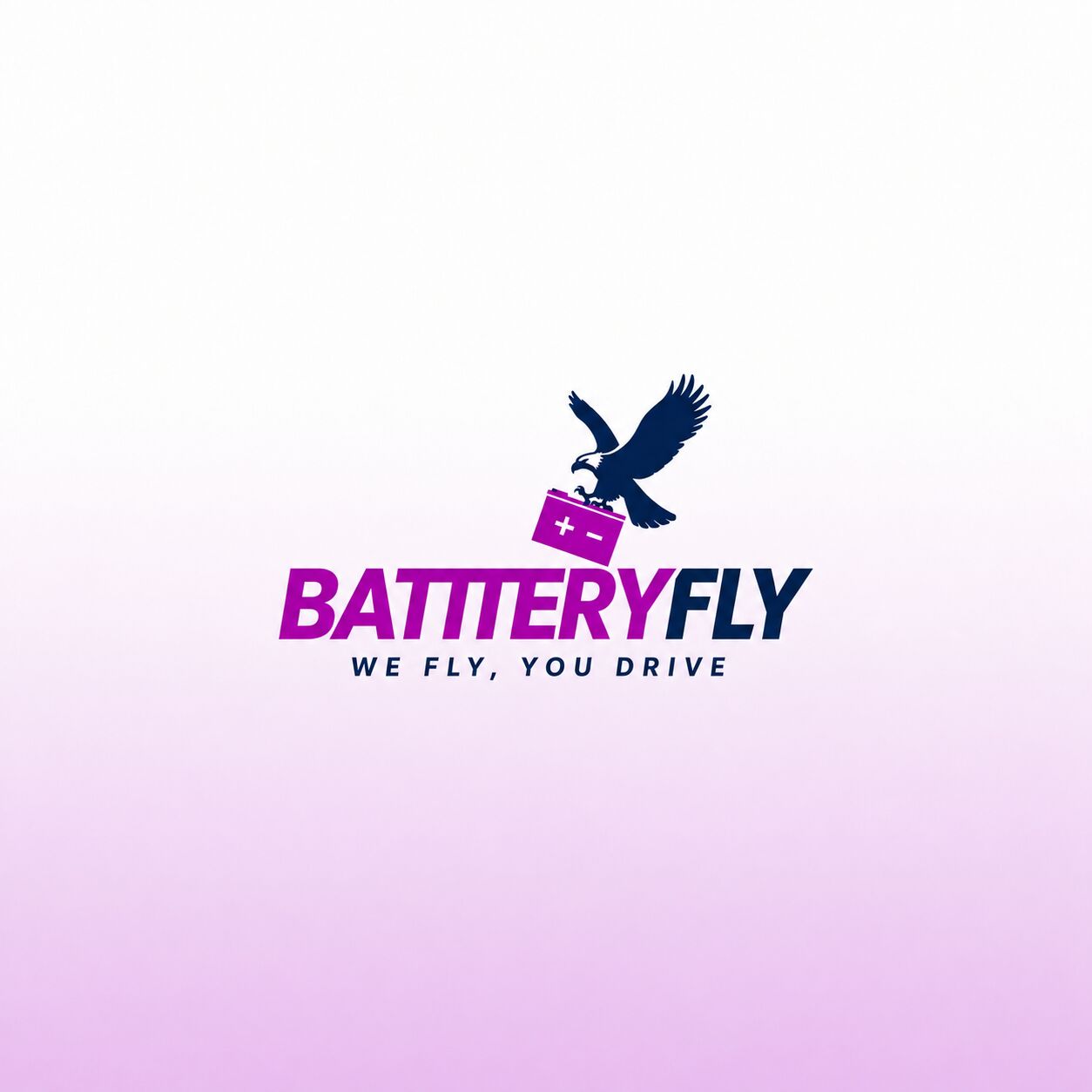 Dubai, Businesses For Sale, Battery Fly