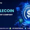 Grow Your Blockchain Business With Stablecoin Development