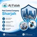 Best Pest Control Company In Sharjah | Choose Al Falak For Effective Pest Solutions