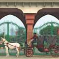 Premium Gate Manufacturers For Elegant & Durable Designs