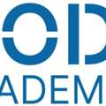 Learn Modern Web Design Skills