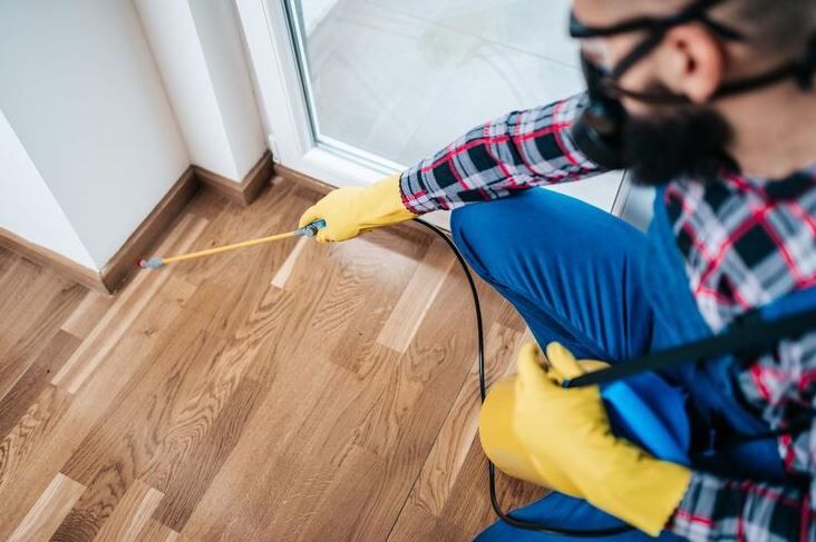 Karachi, Pest Control, Termite Control Service