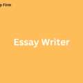 Why Should You Consider An Essay Writer For Your Needs?