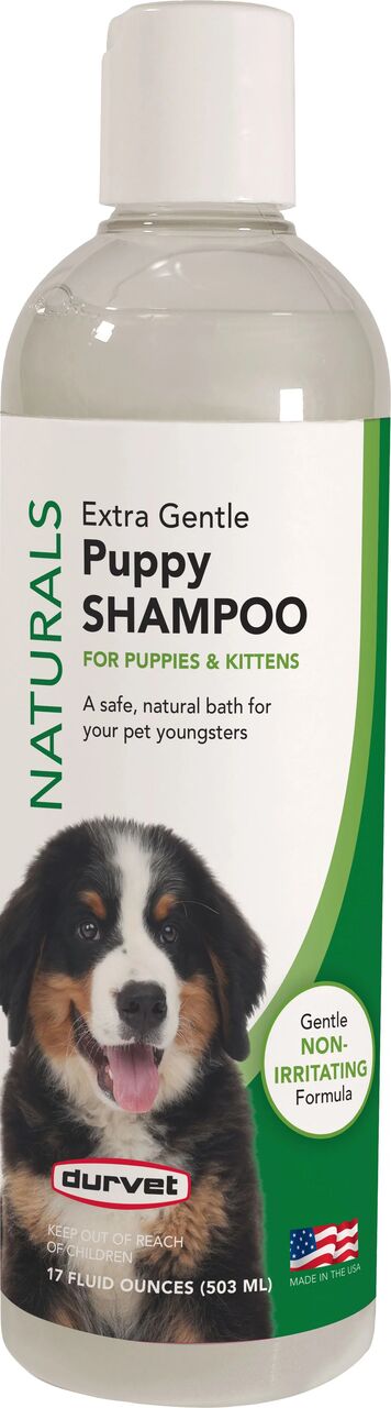 New York, Pet Supplies, USD 11,  Upgrade Your Pet Care With The Best Dog Grooming Products For Every Breed