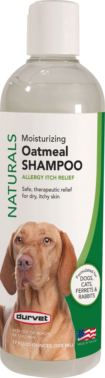 New York, Pet Supplies, USD 11,  Upgrade Your Pet Care With The Best Dog Grooming Products For Every Breed
