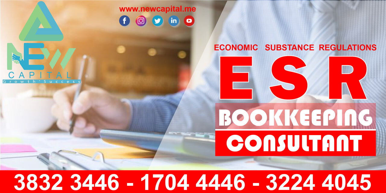 Manama, Business, ESR & BOOKKEEPING CONSULTANT (Kingdom Of Bahrain)