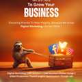 Slow And Steady Wins Digital Growth