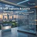 SAP Signavio & LeanIX Services In Egypt | Prompt Edify