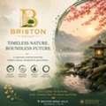 Briston World &ndash; Luxury Apartments & RERA Approved Projects, Neemrana