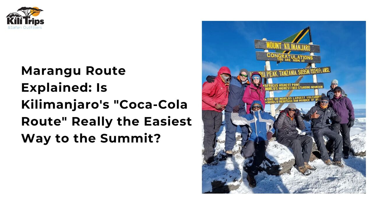 Chicago, Travel, Kilimanjaro Marangu Route Guide: Is It Really The Easiest Route?
