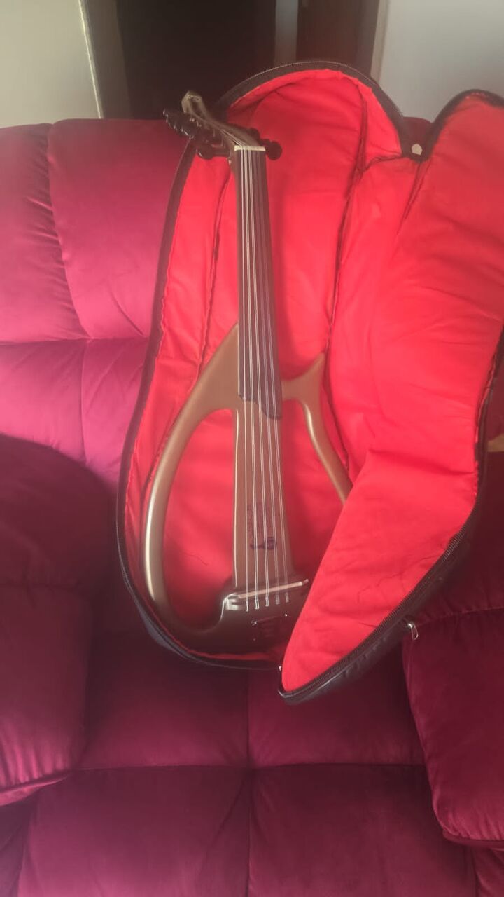 Al Rakah Al Janubiyah, Musical Instruments, SAR 1400,  عود كهربائي مستعمل بشكل بسيط