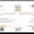 Electrical Engineer With 10+ Years Of Experience