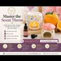 USD 8,  The Ultimate Guide To Wax Melt Burners For Every Home
