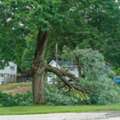 Willow Creek Landscaping & Tree Service | Tree Service | Landscaper Waxahachie, TX