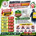 Protect Your Home With Professional Pest Control At Affordable Prices!