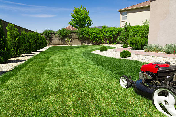 Auckland, Farm/Garden, Reliable Lawn Mowing Service Papakura &ndash; Saheb Mowing Limited