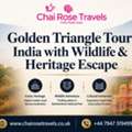 Golden Triangle Tour India With Wildlife & Heritage Escape