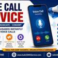 Convert More Leads With Professional Voice Call Service