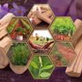 Managed Sandalwood Farming