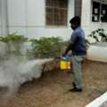 Bed Bug Control Services In Tamil Nadu