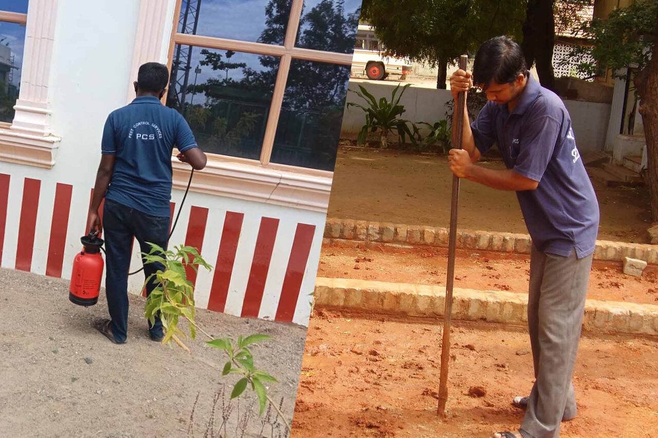 Madurai, Cleaning, Bed Bug Control Services In Tamil Nadu