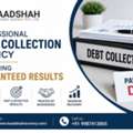 Professional Debt Collection Agency Delivering Guaranteed Results