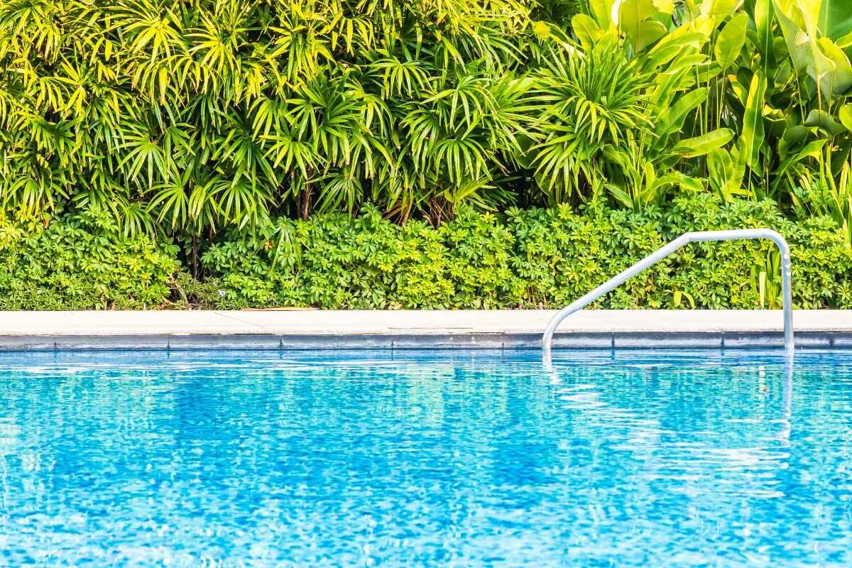 Hyderabad, Cleaning, Swimming Pool Contractors In Telangana