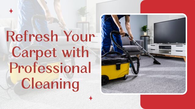 Brisbane, Cleaning, Carpet Cleaning Pimpama &ndash; Practical Carpet Cleaning You Can Trust