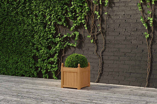 London, Furniture, Solid Hardwood Teak Planters
