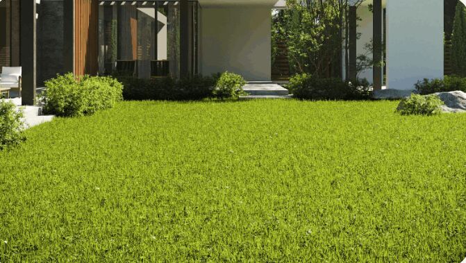 New York, Farm/Garden, Reliable Lawn Service Springfield VA For Beautiful Yards