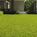 Reliable Lawn Service Springfield VA For Beautiful Yards