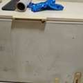 SAR 800,  Working Freezer