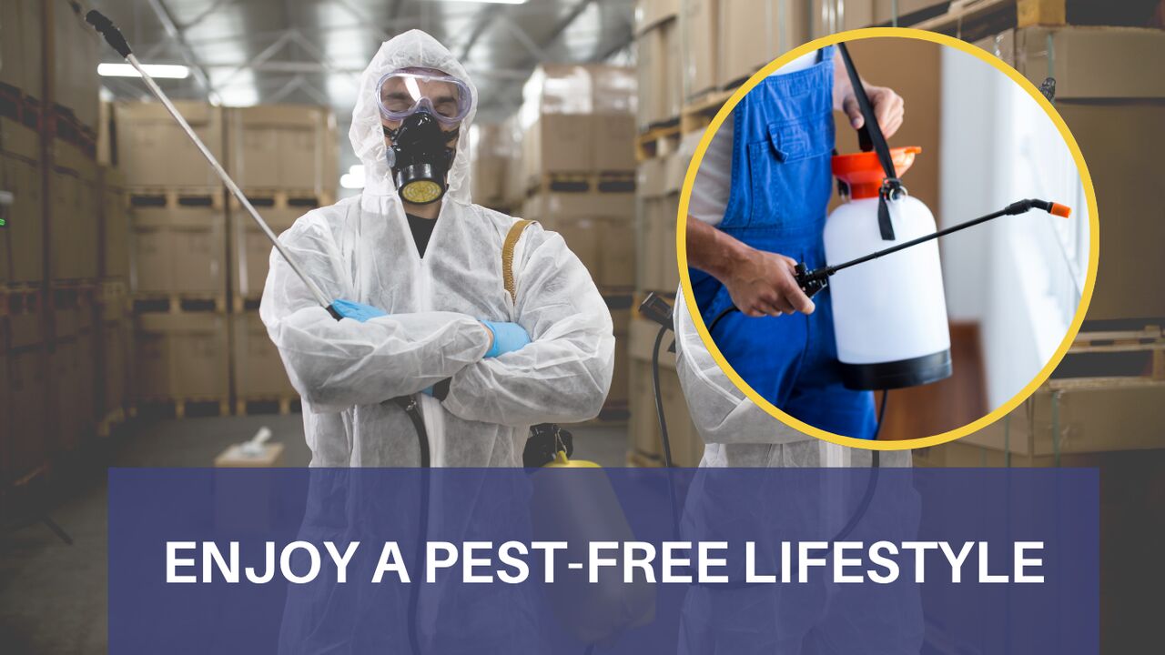 Melbourne, Pest Control, Reliable Pest Control Eltham For Everyday Pest Management