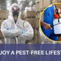 Reliable Pest Control Eltham For Everyday Pest Management