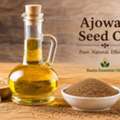 Ajowan Seed Oil Manufacturer | Kanta Essential Oils