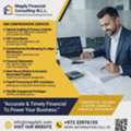 Professional Accounting, Book Keeping Auditing & VAT Services