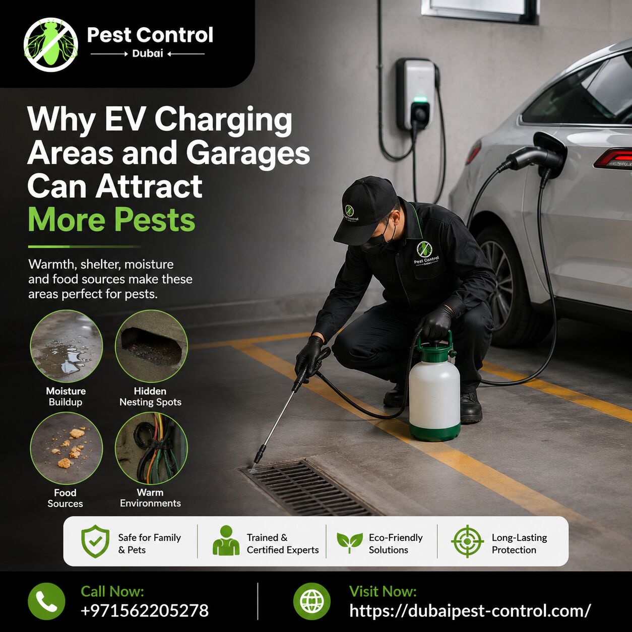 Dubai, Pest Control, Why EV Charging Areas And Garages Can Attract More Pests