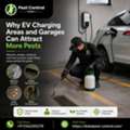 Why EV Charging Areas And Garages Can Attract More Pests