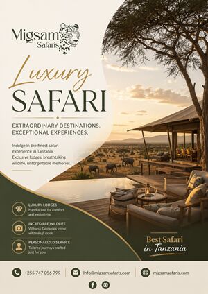 Dar es Salaam, Travel, Luxury Safari In Tanzania Premium Safari Experience