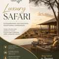 Luxury Safari In Tanzania Premium Safari Experience