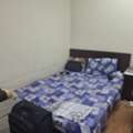 SAR 800/month,  140 Sq. Meter,  Bedspace Available - For Professionals Only