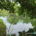 THB 10500000,  6 BR,  1176 Sq. Feet,  Wow, Lost Over A Million, A Beautiful Place Next To The White Water Rafting, Sarika