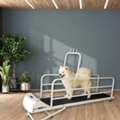 GoPet PetRun PR 725E Large Dog Treadmill | Electric Running Machine