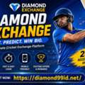 Growing Interest In Digital Sports Platforms