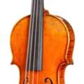 SAR 120,  Brand New Violin Multi-Color SAR-120