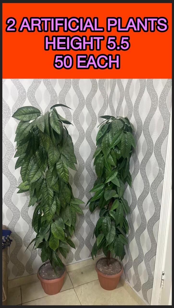 Jeddah, Furniture, SAR 1,  Red Curtains, Brown Curtains, 2 Large Plants, White Vanity, Large Table, Decoration Items