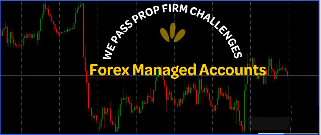 New York, Business, We Help Traders To Get Funded Accounts On Prop Firms