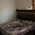 SAR 1800/month,  Small Famly Or Sharing Room