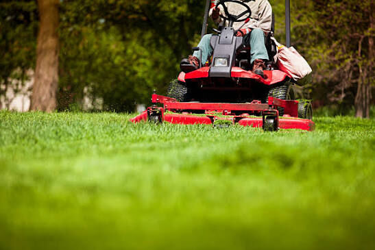Toronto, Household, Ready For A Better Lawn? Book Saskatoon Lawn Care Today